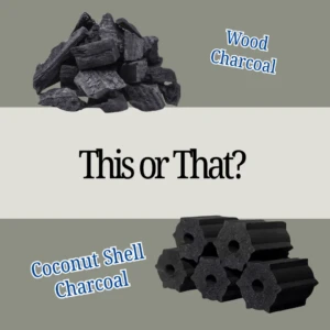 coconut shell charcoal vs wood charcoal for BBQ grilling comparison
