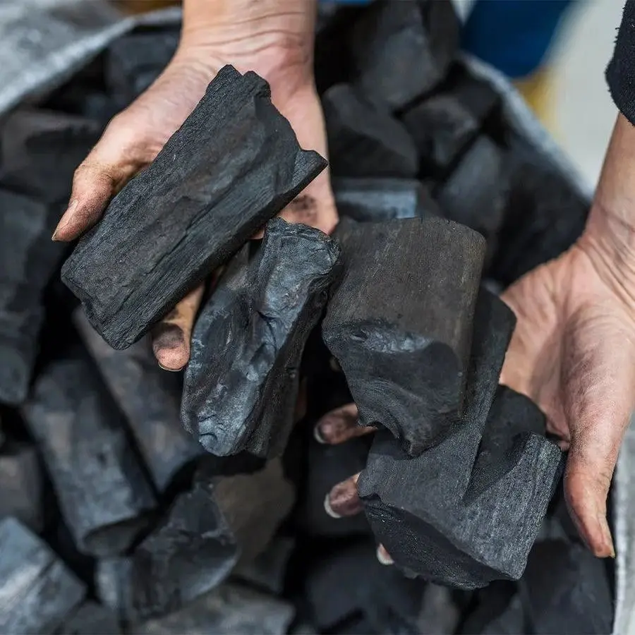 premium charcoal vs cheap charcoal comparison for BBQ and shisha